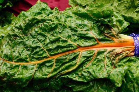 Organic Orange Chard; Beta vulgaris